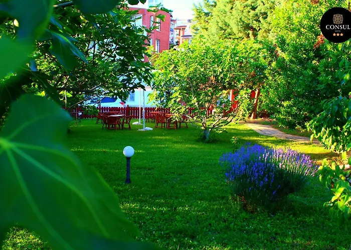 Szálloda Consul Szveti Vlasz